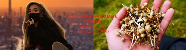 гидра Абдулино