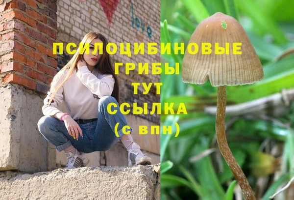 гидра Абдулино