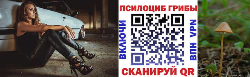 Галлюциногенные грибы GOLDEN TEACHER где продают наркотики Иваново