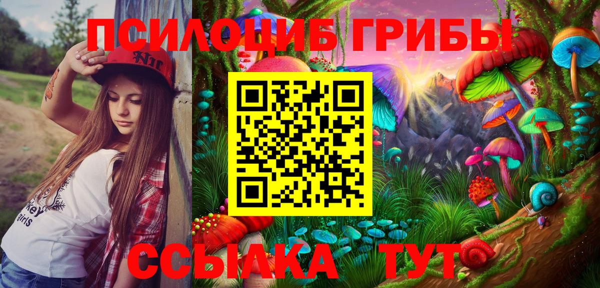 Псилоцибиновые грибы GOLDEN TEACHER  магазин продажи   Иваново  Галлюциногенные грибы Cubensis  Вход с VPN 